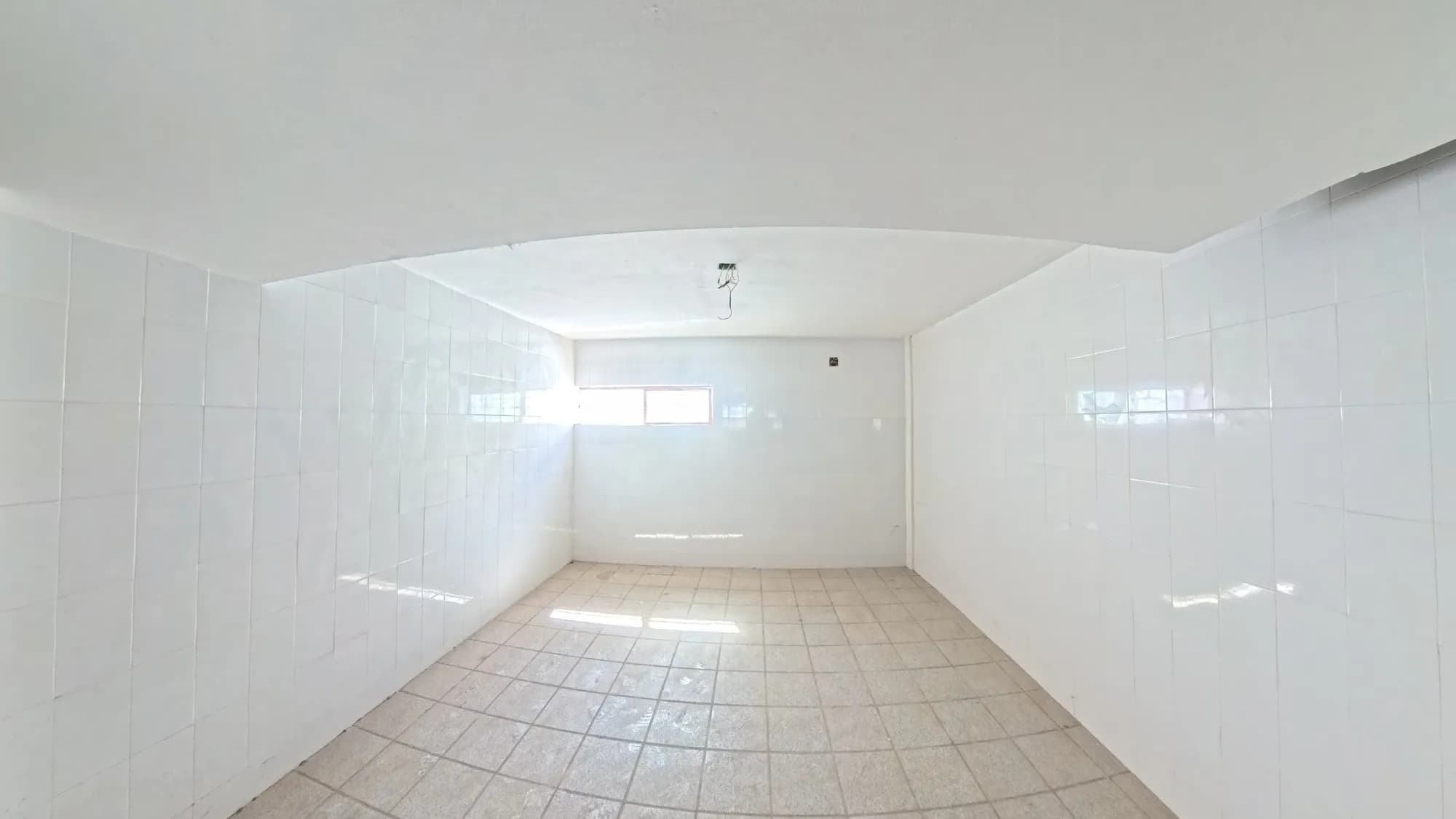 Galería 6