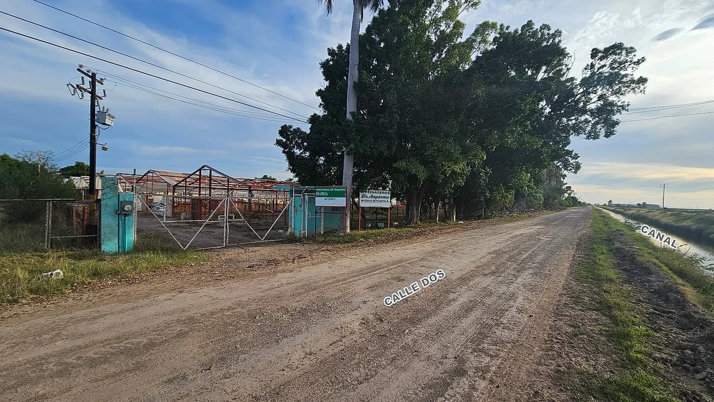 TERRENO AGRO INDUSTRIAL ( INVERNADEROS ) EN VENTA Adolfo Ruiz Cortines, Guasave, Sinaloa $3’420,000