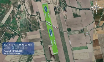 9_2931 | 24.40 HECTAREAS AGRÍCOLAS EN VENTA Ejido Suarez (Campo Gastélum o Cohuibampo), Ahome Sinaloa | Angulo Bienes Raíces