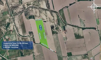 9_2932 | 10 HECTAREAS AGRÍCOLAS Ejido Suarez (Campo Gastelum y Cohuibampo), Ahome Sinaloa | Angulo Bienes Raíces