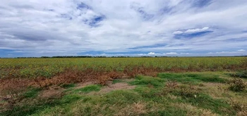 13_2692 | En Venta excelente Predio Agrícola, San Miguel Zapotitlán. | Angulo Bienes Raíces