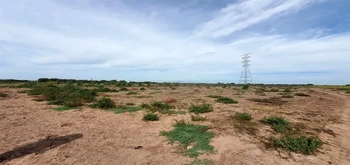 13_3124 | En Venta excelente Predio Agrícola, Ejido Mochis. | Angulo Bienes Raíces